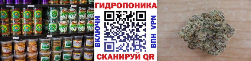 закладка  Новомичуринск  Canna-Cookies марихуана 