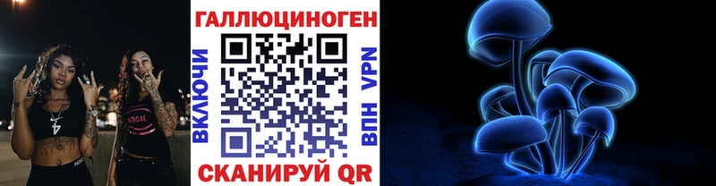 Галлюциногенные грибы Psilocybine cubensis Новомичуринск